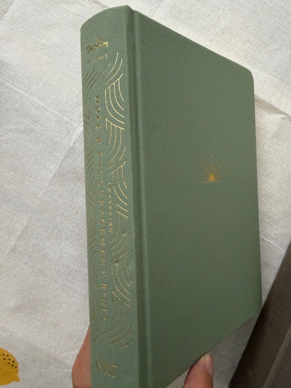 NLT Hope and Encouragement Bible